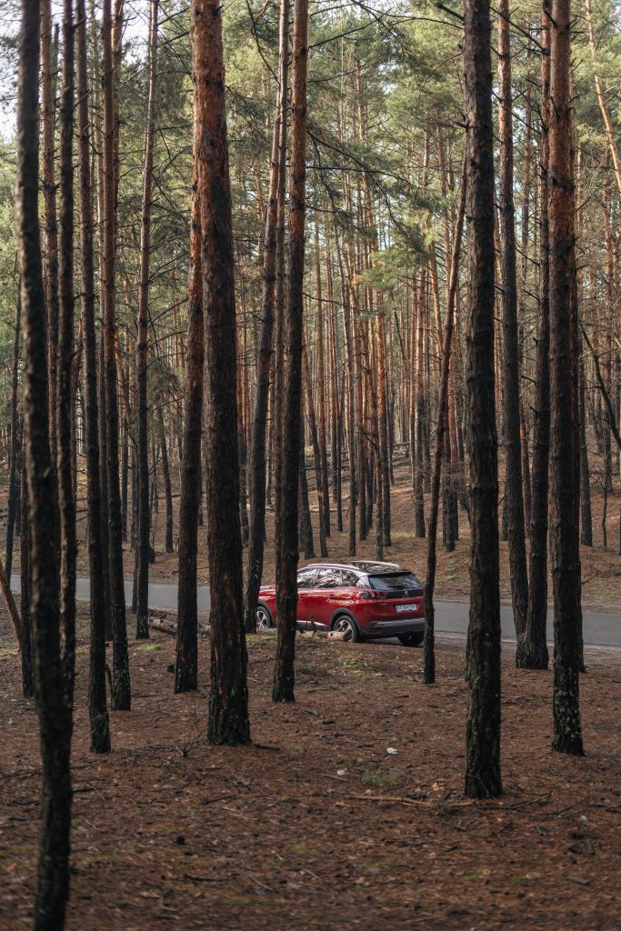 What Happens If You Crash A Rental Car Without Insurance